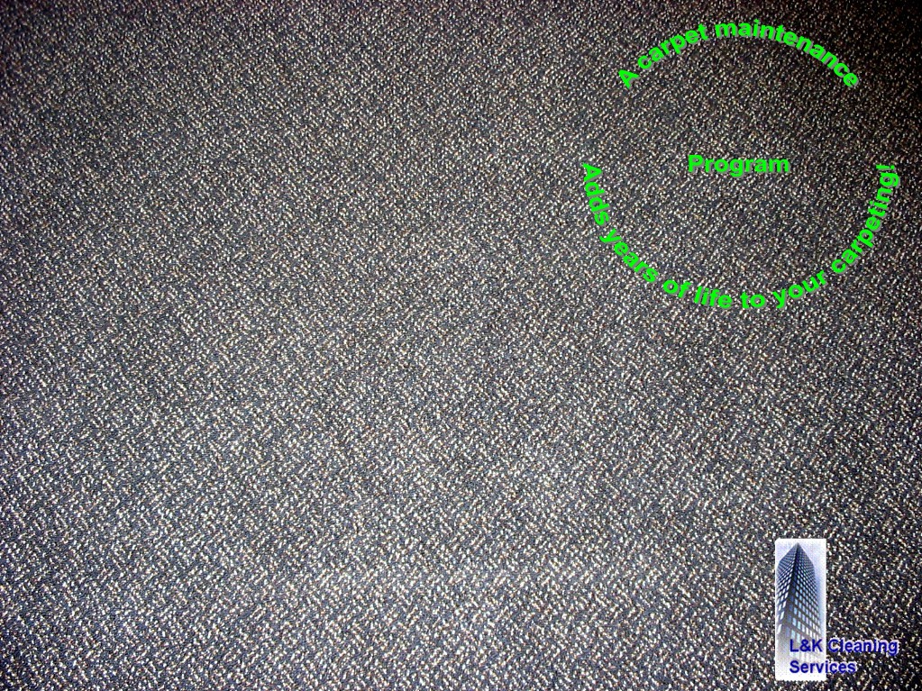 carpetspotoutLK1.jpg